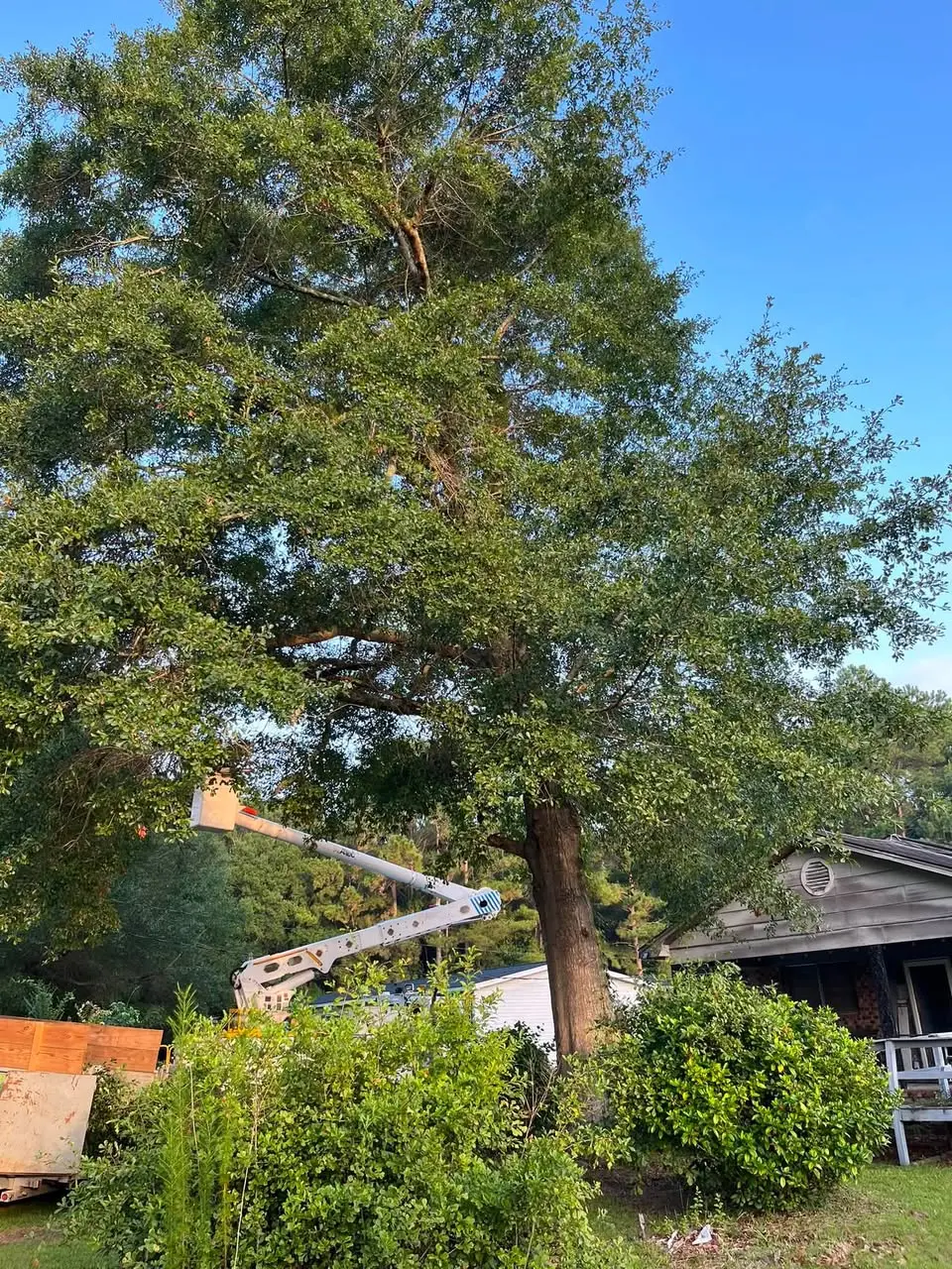 Floyd’s crew completing tree work with professional equipment